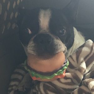 Meet your Posher, Anna